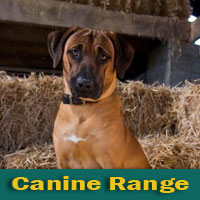 Canine Products