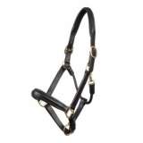 LeMieux Leather Padded Headcollar Black