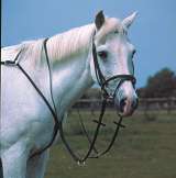 English Leather Breast Plate