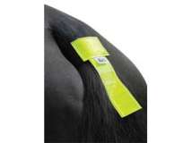 HyVIZ Tail Band