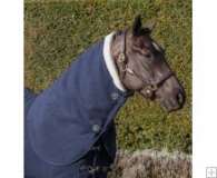 LeMieux Four Seasons Neck Cover