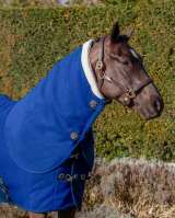 LeMieux Four Seasons Hood - Benetton Blue