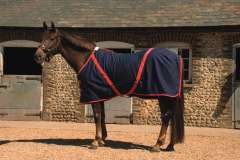 Rhinegold Summer Sheet