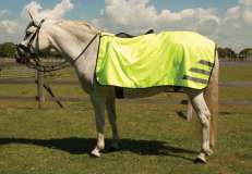 Rhinegold Waterproof Ride-On Rug
