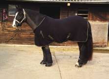 Rhinegold Gold Trim Fleece Rug
