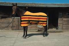 Harlequin Newmarket Stripe Fleece Rug