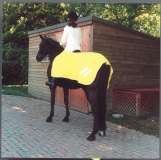 Rhinegold 3/4 Ride-on Mesh Rug