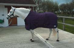 Rhinegold Orlando Stable Quilt