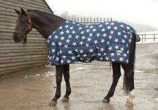 Rhinegold Star Design Quilt