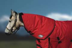 Rhinegold Konig Neck Cover