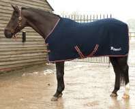 Rhinegold Celltex Multi-Purpose Rug