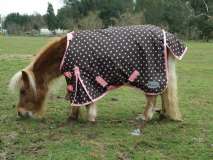 Rhinegold Foal/Tiny Pony Dottie Lightweight Rug