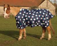 Rhinegold Foal/Small Pony Star Torrent Rug