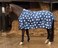 Rhinegold Star Design Torrent Rug