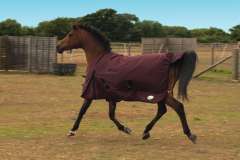 Rhinegold Torrent Lightweight Outdoor Rug