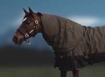 Rhinegold Blizzard Neck Cover
