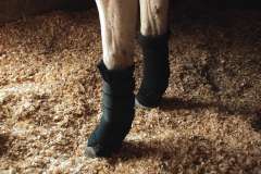 Rhinegold Stable Medicine Boots