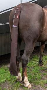 LeMieux Tail Guard with Bag Brown