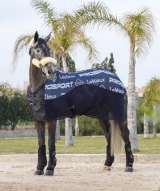 LeMieux Carbon Cooler Rug - NAVY