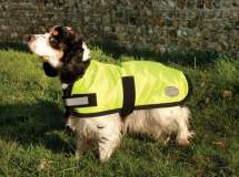 Rhinegold Waterproof Dog Coat