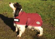 Rhinegold Fleece Dog Coat