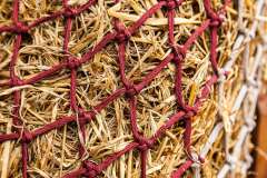 LeMieux Hippo Hay Net - Burgundy/Beige