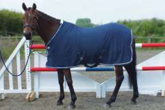 John Whitaker Ultraphil Cooler Rug