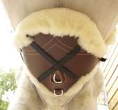 LeMieux Stud Guard Cover Short (28")