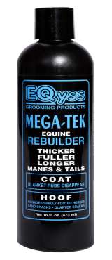 EQyss Mega-Tek Rebuilder