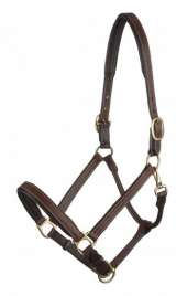 LeMieux Padded Leather Headcollar Havana