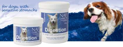 NAF Canine Digestion