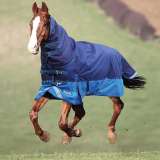 Shires Highland Rug (combo)