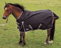 Rhinegold Konig Small Pony/Foal Rug