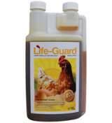 Life-Guard