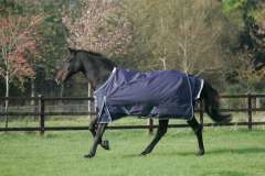 Mark Todd Heavyweight Turnout Rug