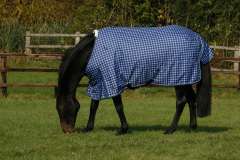 Mark Todd Lightweight Turnout Rug