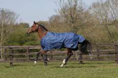 Mark Todd Mediumweight Turnout Rug