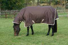 Mark Todd Mediumweight Combo Turnout Rug