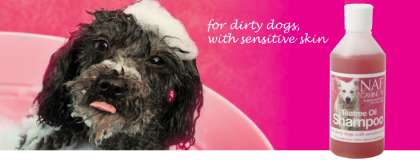 NAF Canine Tea Tree Shampoo