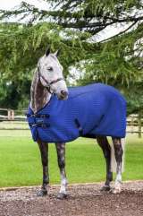 LeMieux Thermo-Cool Rug Benetton Blue