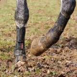 LeMieux Turnout Boots Black